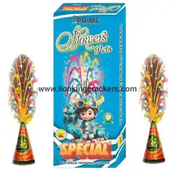 Flower Pots Special (10 Pcs)