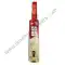 Cricket Bat
